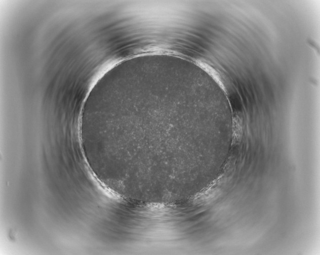 X0000093461098200711021129