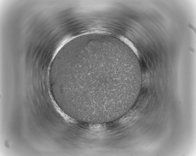 X0000093461099200711021129