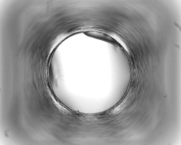 X0000093461101200711021129