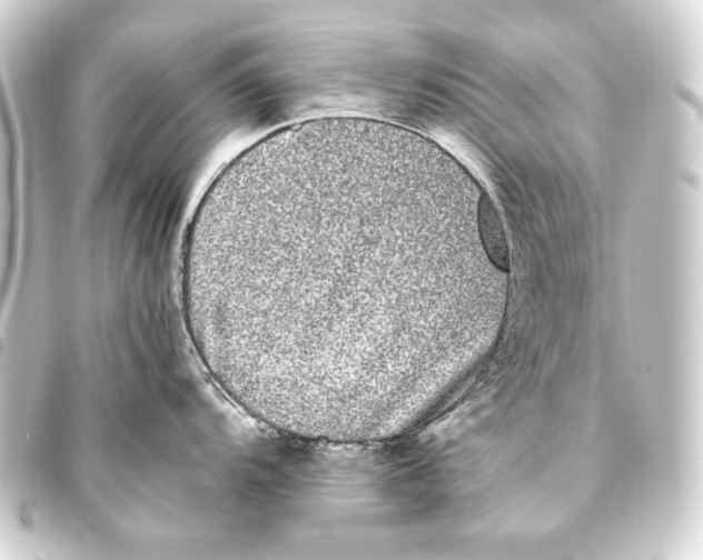 X0000093461104200711021129