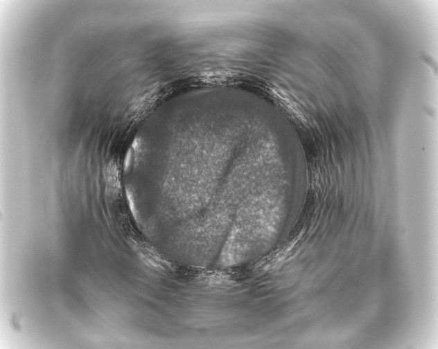 X0000093461106200711021129