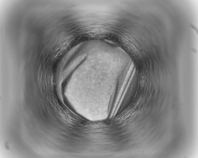 X0000093461108200711021129