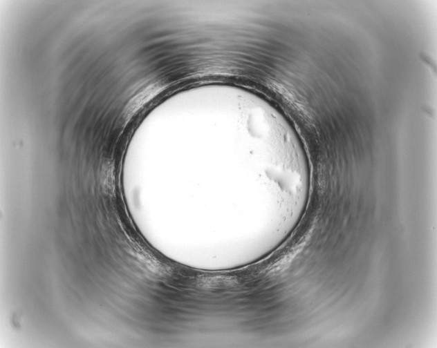 X0000093461113200711021129