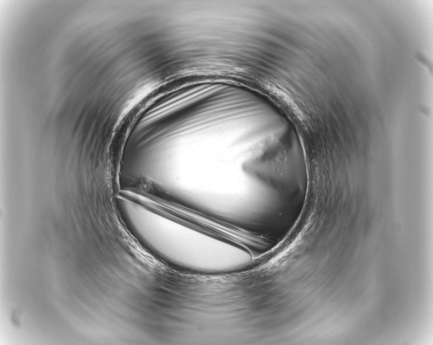 X0000093461114200711021129