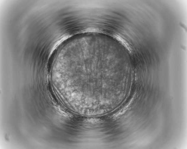 X0000093461117200711021129