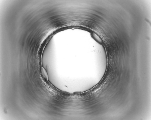 X0000093461118200711021129