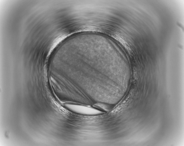 X0000093461120200711021129