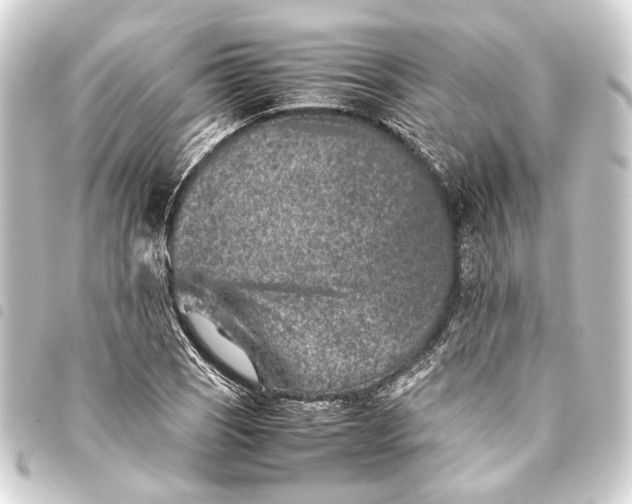 X0000093461121200711021129