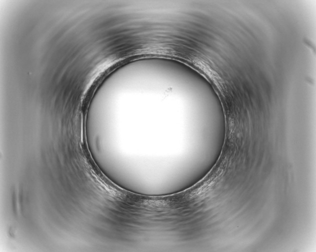 X0000093461123200711021129