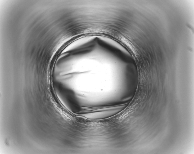 X0000093461124200711021129