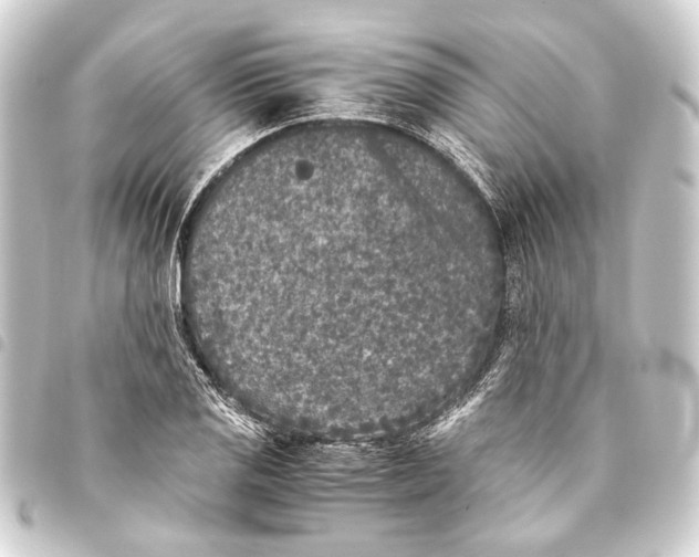 X0000093461125200711021129