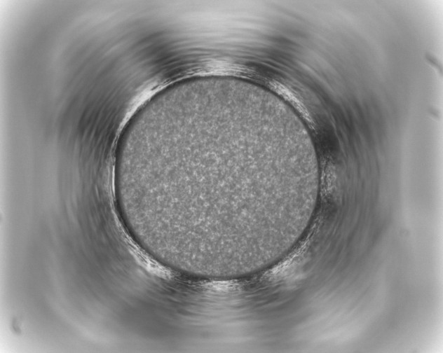 X0000093461130200711021129