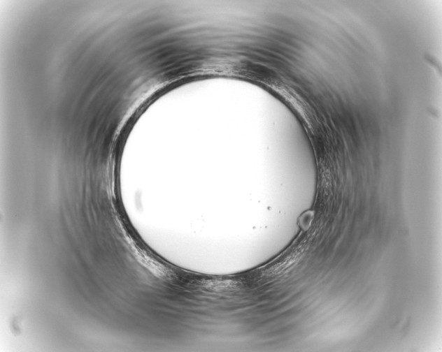 X0000093461131200711021129