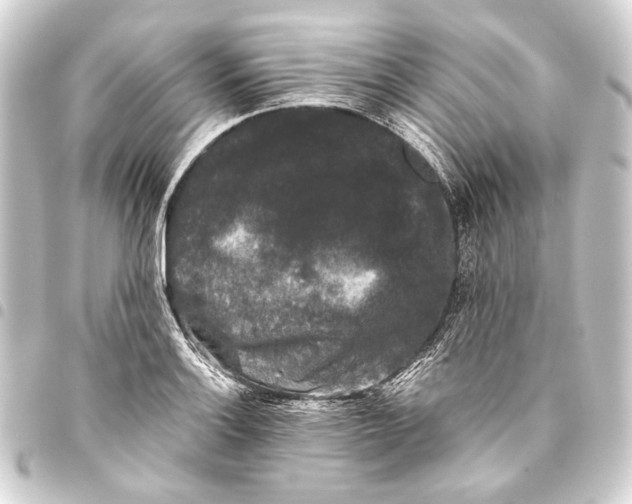 X0000093461132200711021129