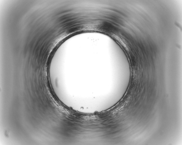 X0000093461133200711021129