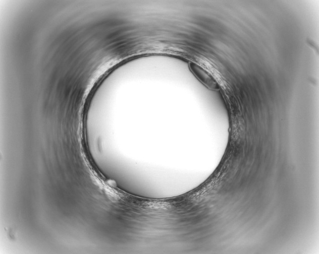 X0000093461136200711021129