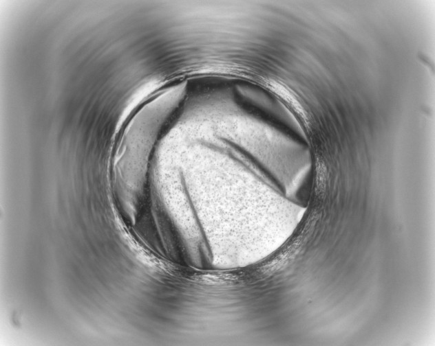 X0000093461138200711021129