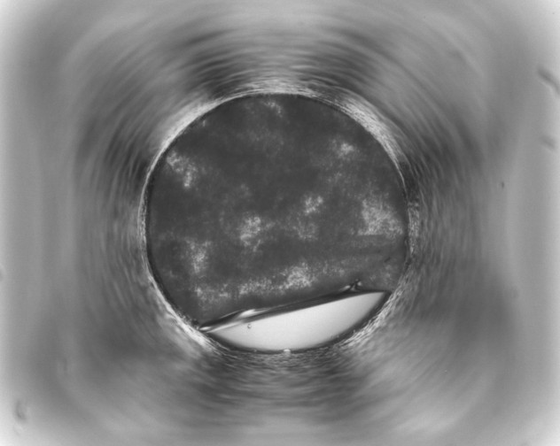 X0000093461141200711021129