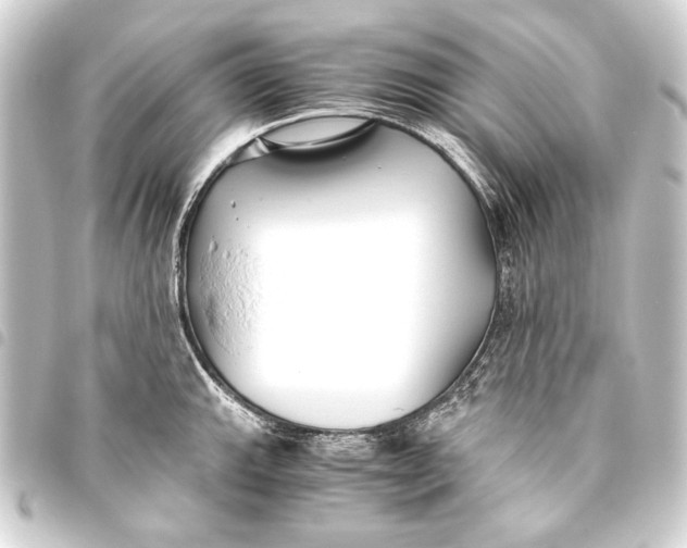 X0000093461143200711021129