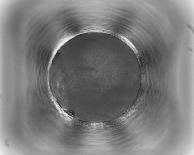 X0000093461144200711021129