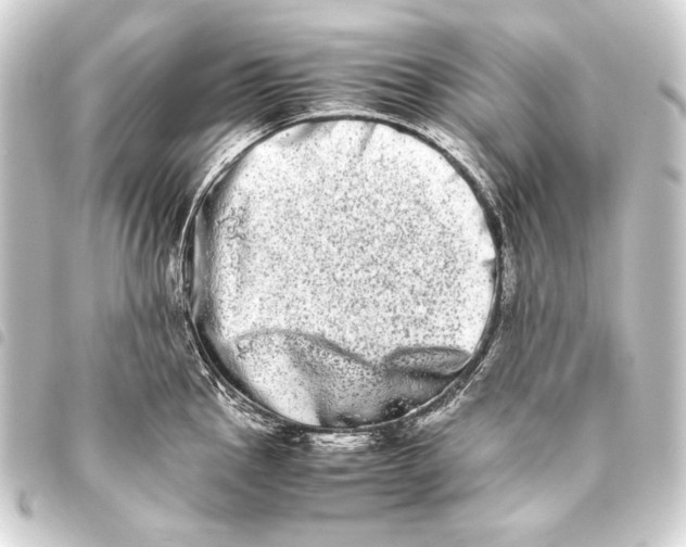 X0000093461145200711021129