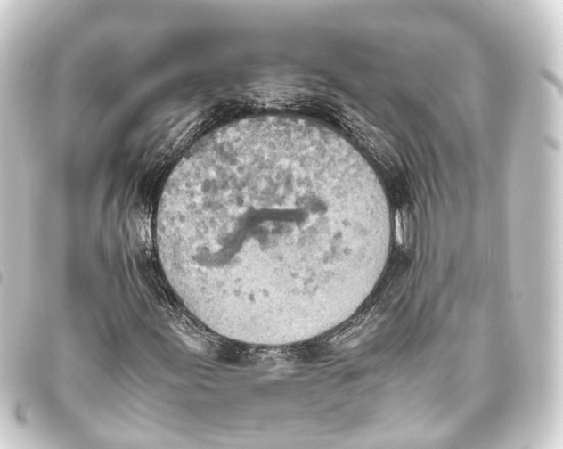 X0000093461155200711021129