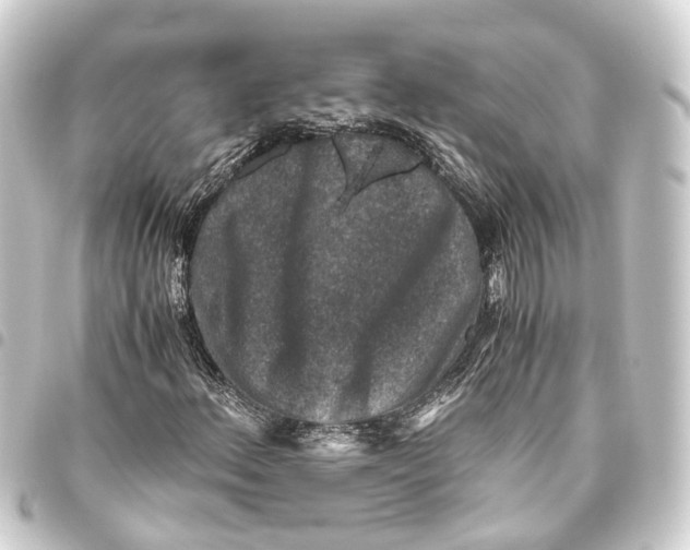 X0000093461156200711021129