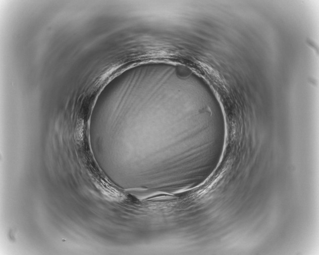 X0000093461161200711021129