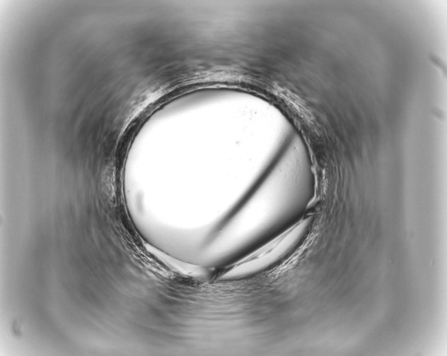 X0000093461165200711021128