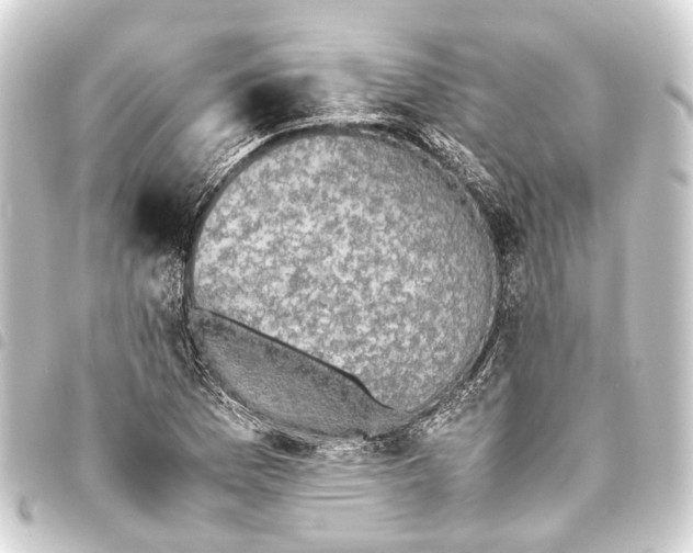 X0000093461169200711021128