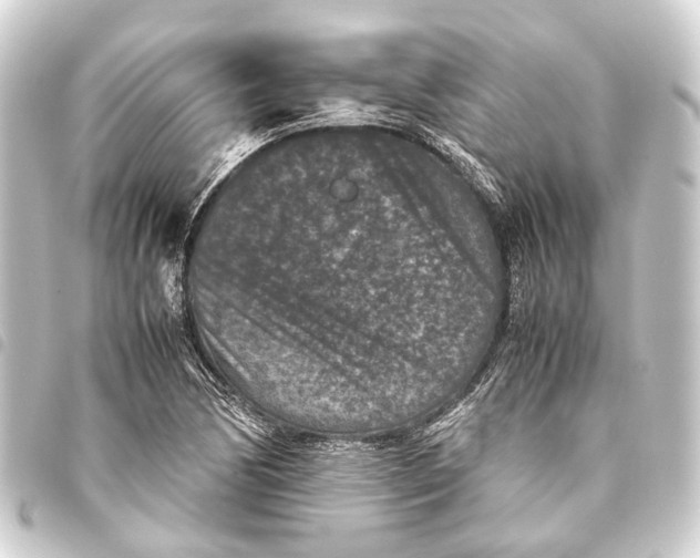 X0000093461170200711021128