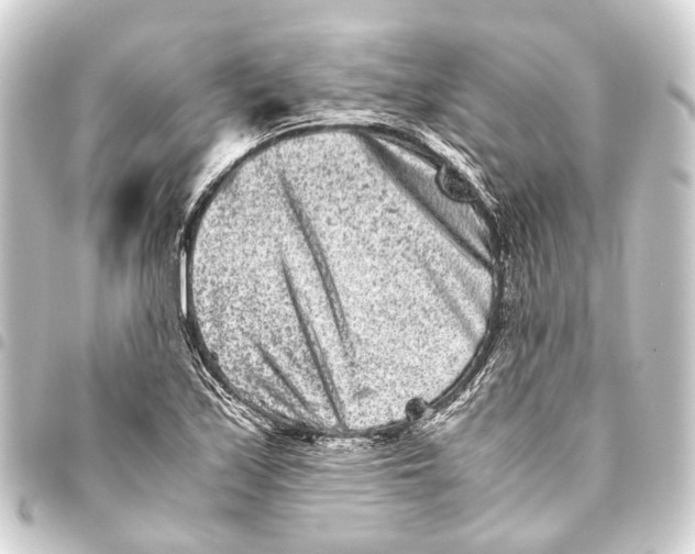 X0000093461171200711021128