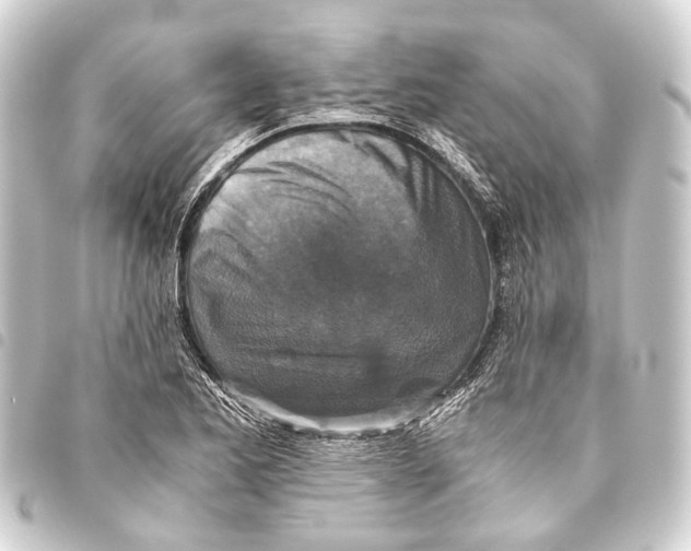 X0000093461173200711021128