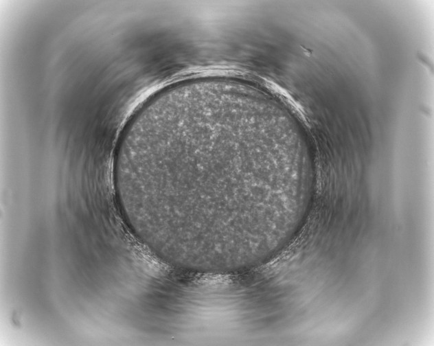 X0000093461174200711021128