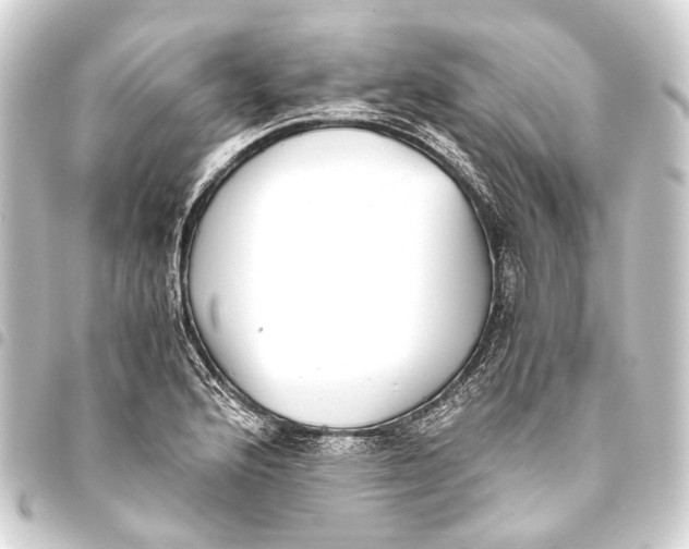 X0000093461176200711021128