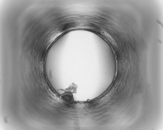 X0000093461177200711021128