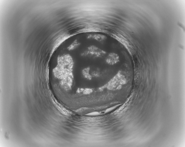 X0000093461179200711021128