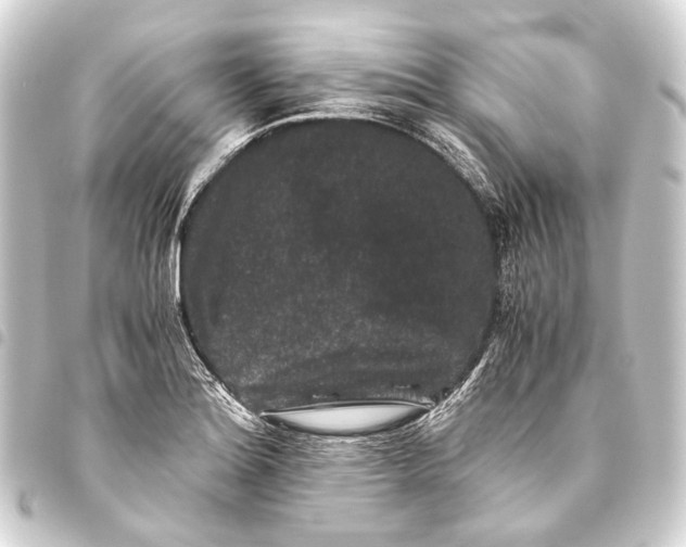 X0000093461180200711021128