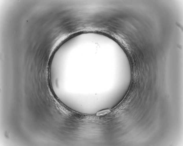 X0000093461183200711021128