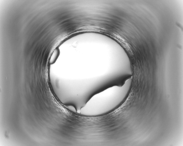 X0000093461188200711021128