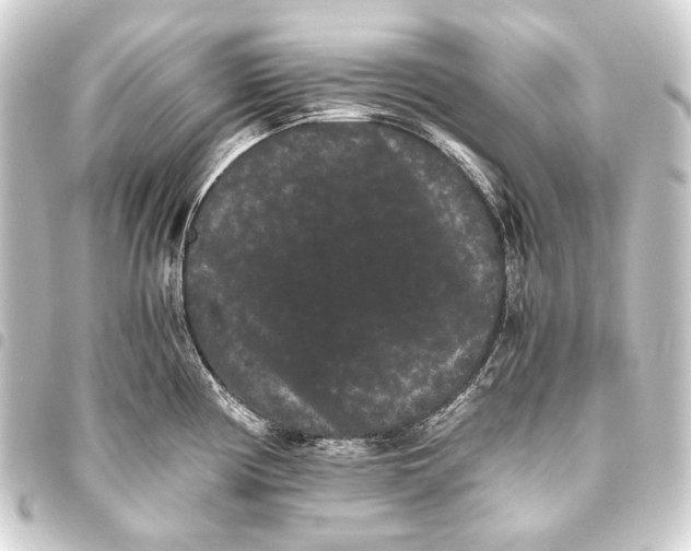 X0000093461194200711021128