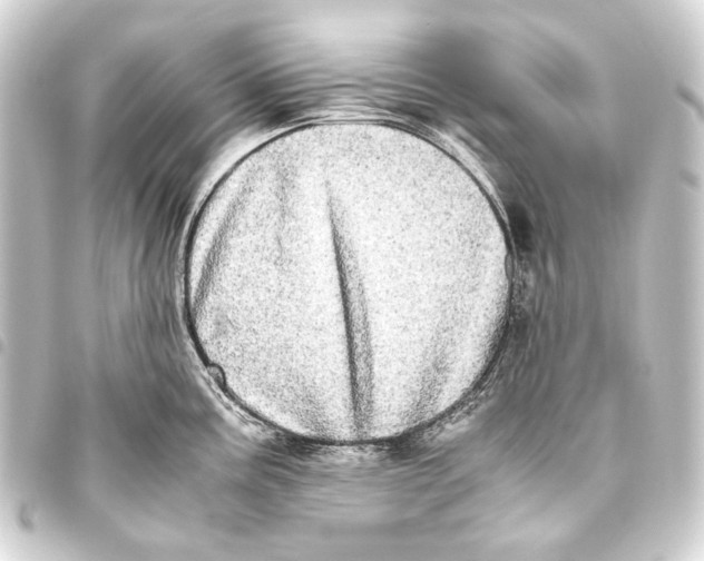 X0000093461195200711021128