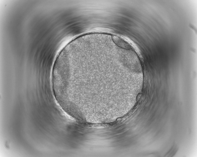 X0000093461199200711021128