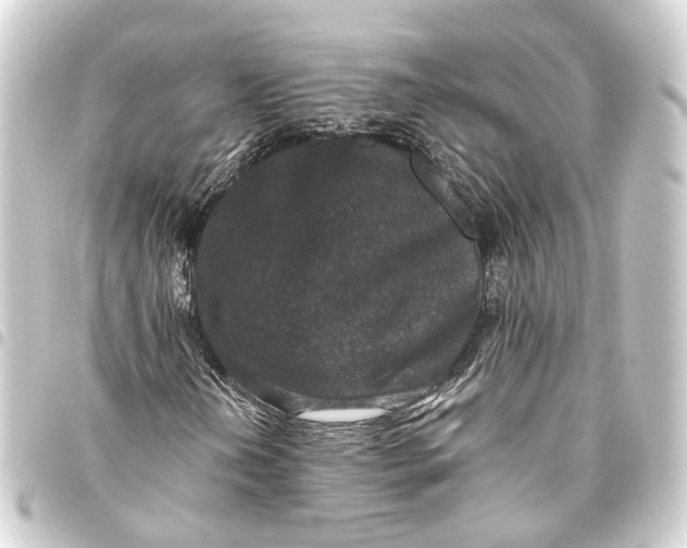 X0000093461202200711021128