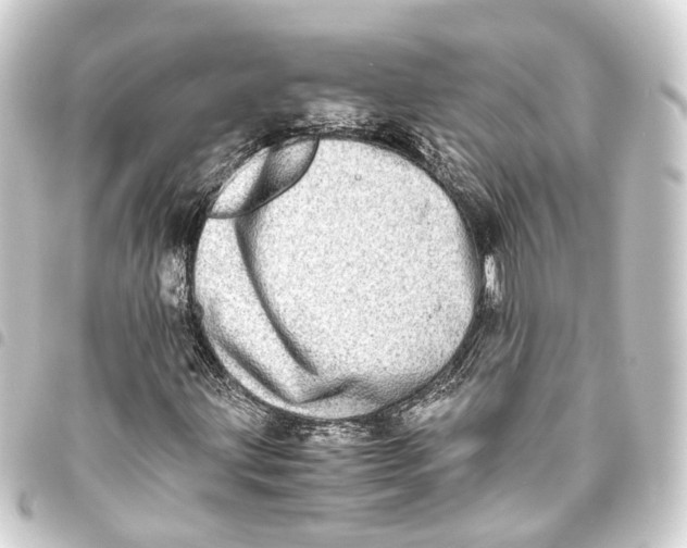 X0000093461203200711021128