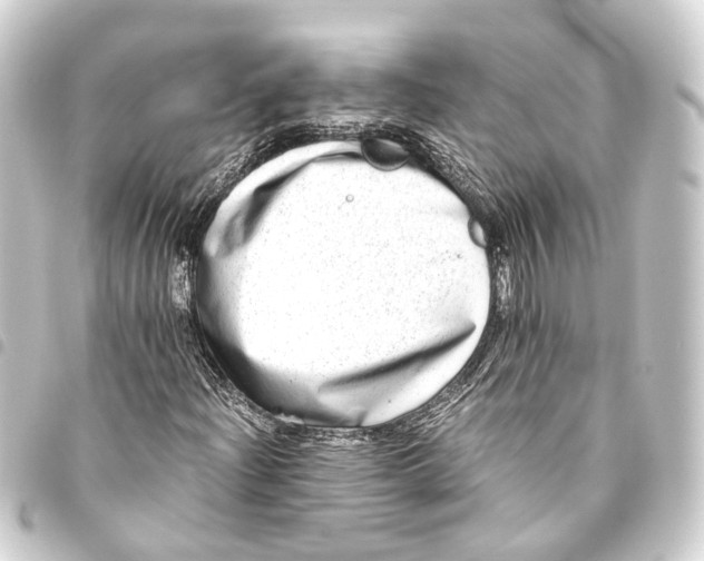 X0000093461204200711021128