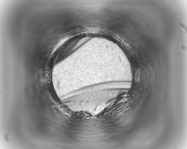 X0000093461208200711021128