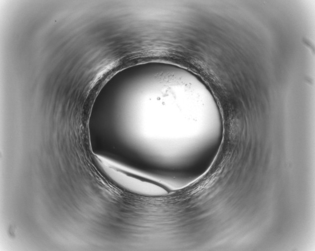 X0000093461210200711021128