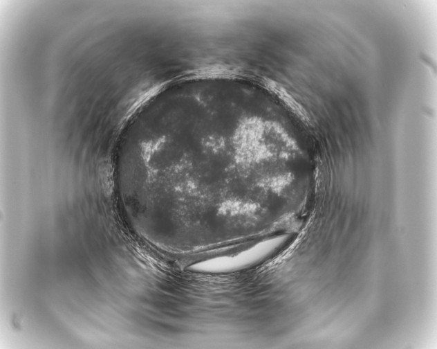 X0000093461213200711021128