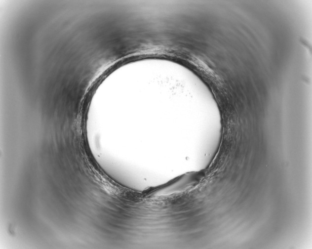 X0000093461216200711021128